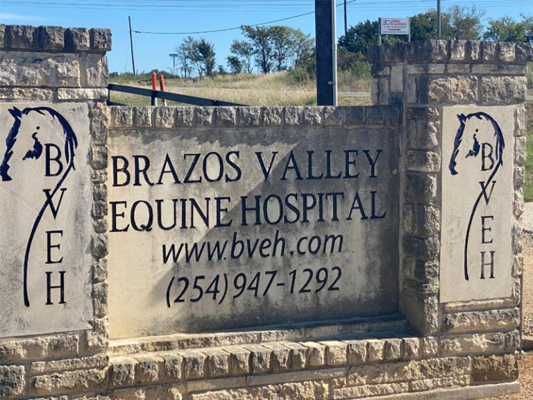 Brazos Valley Equine Center, Salado, TX.