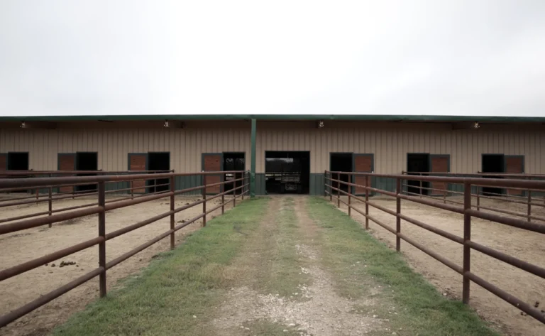 Tomari Farm, Holland, TX.