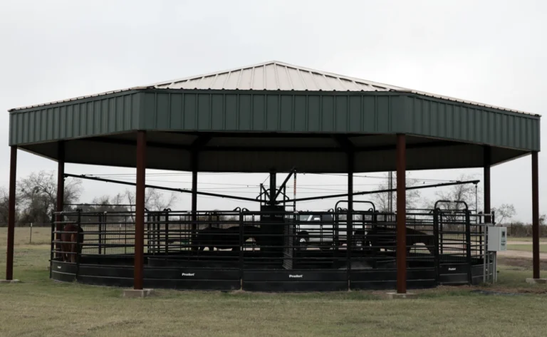 Tomari Farm, Holland, TX.