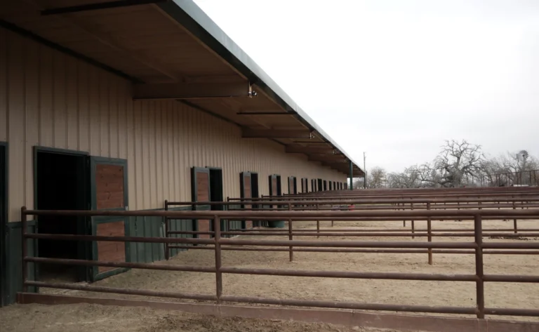 Tomari Farm, Holland, TX.